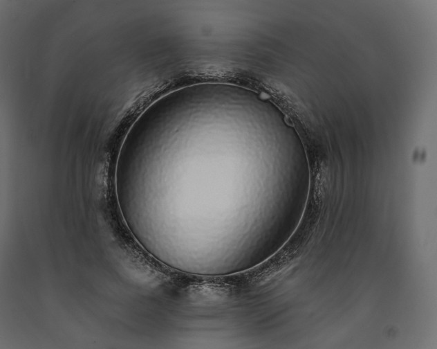 X0000091560739200708241815