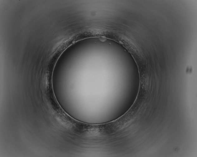 X0000091560740200708241815