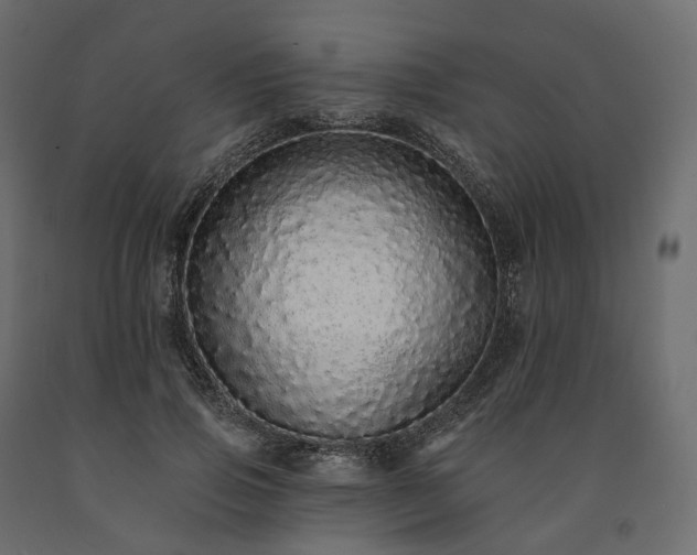 X0000091560741200708241815