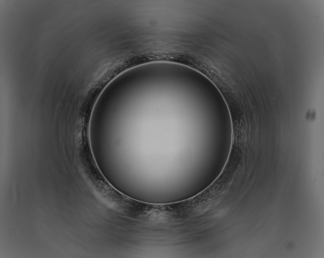 X0000091560742200708241815