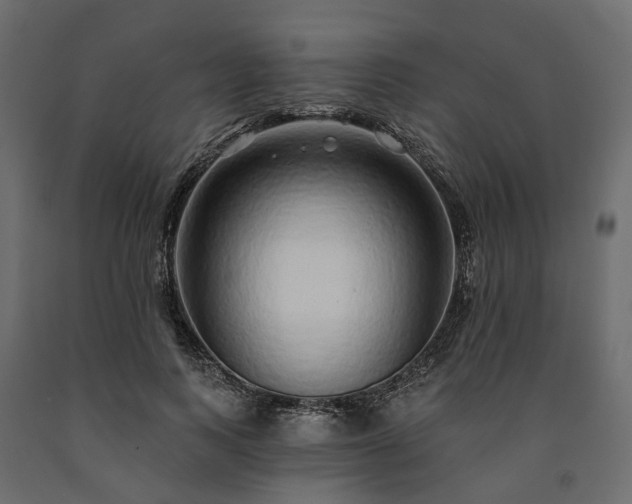 X0000091560743200708241815