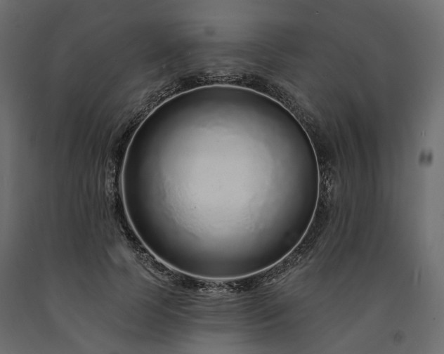 X0000091560745200708241815