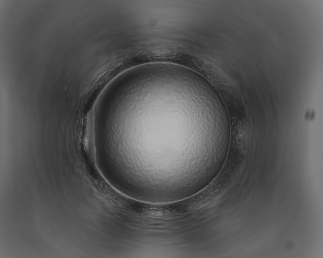 X0000091560746200708241815