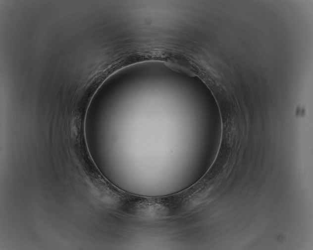 X0000091560747200708241815