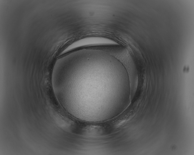 X0000091560748200708241815