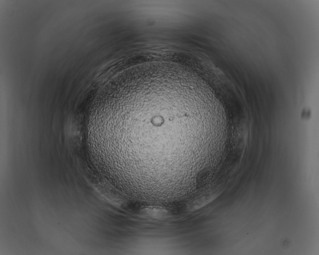 X0000091560749200708241815