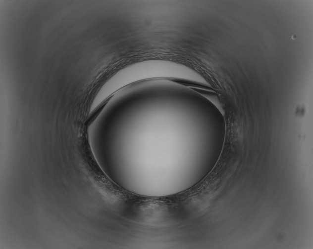 X0000091560750200708241815