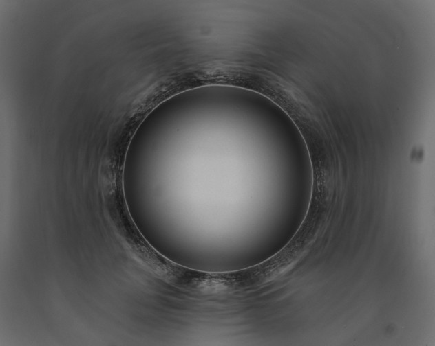 X0000091560751200708241815