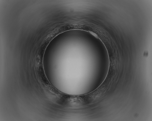 X0000091560752200708241815