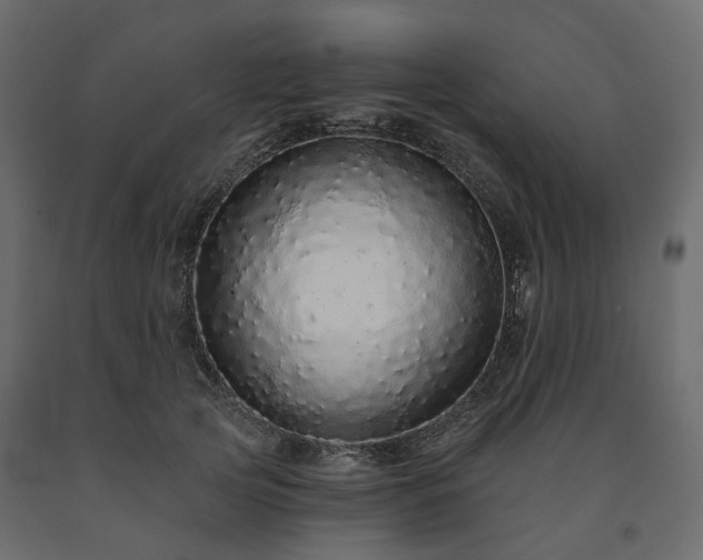 X0000091560753200708241815