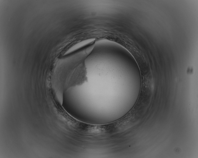 X0000091560754200708241815