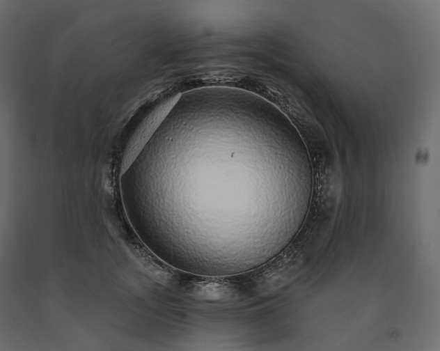 X0000091560755200708241815