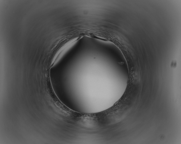 X0000091560756200708241815