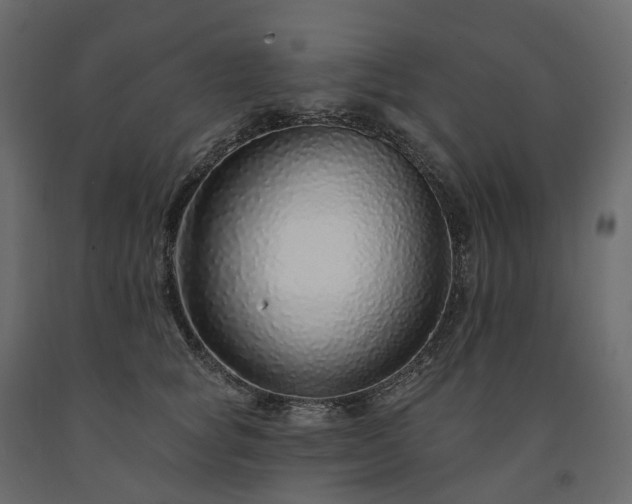 X0000091560757200708241815