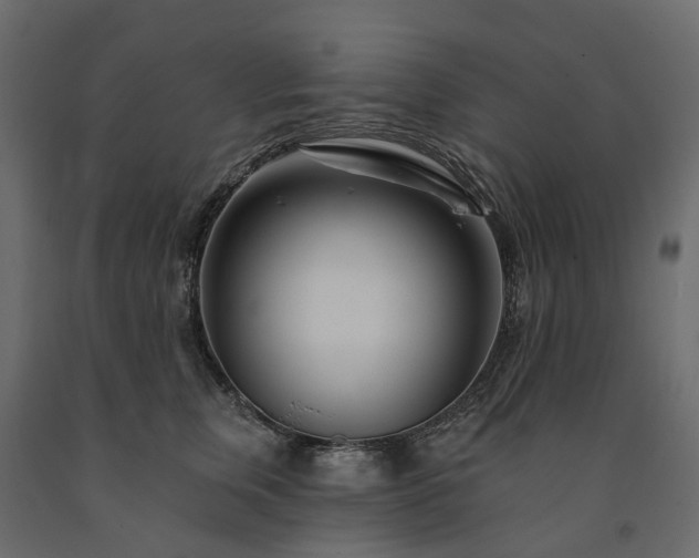 X0000091560759200708241815