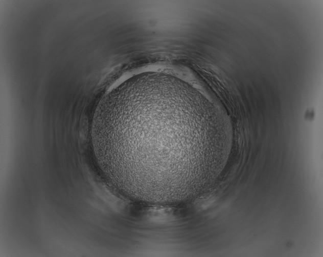 X0000091560760200708241815