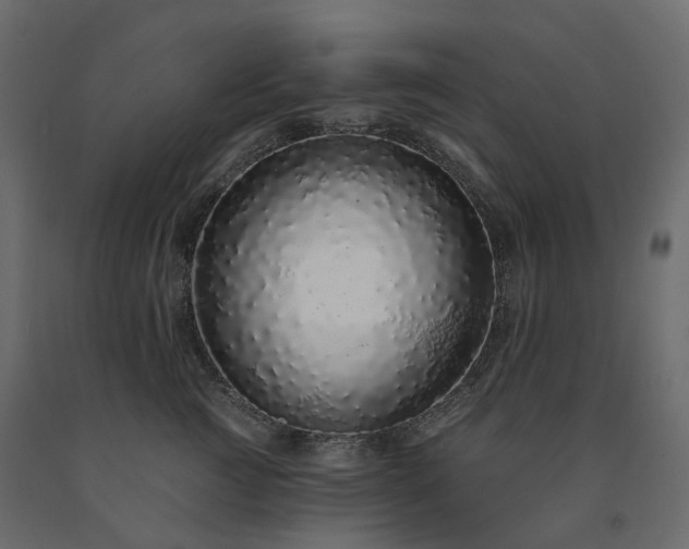 X0000091560761200708241815