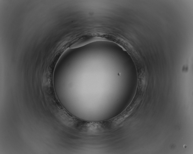 X0000091560762200708241815