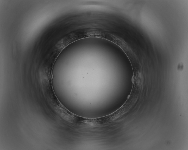 X0000091560763200708241815