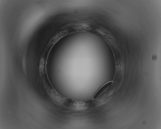 X0000091560767200708241816