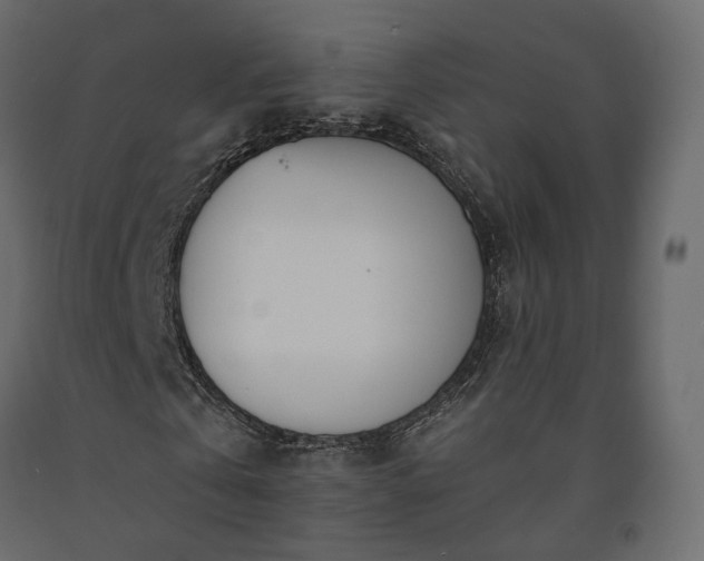 X0000091560769200708241815