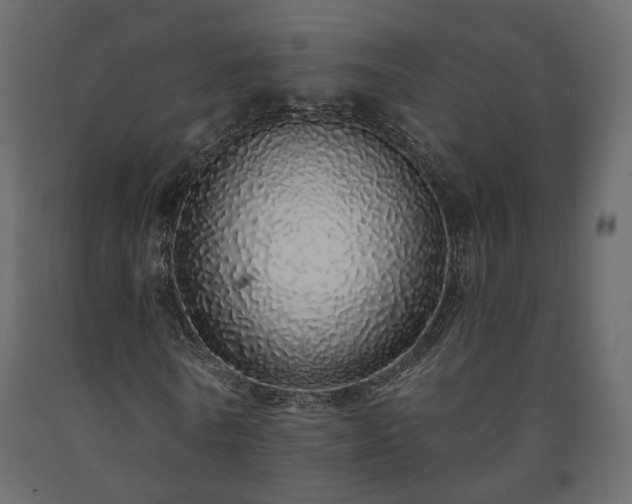 X0000091560770200708241815