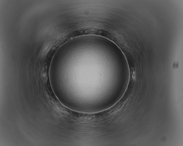 X0000091560771200708241815