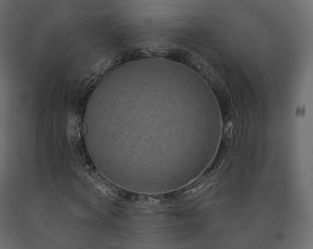 X0000091560772200708241815