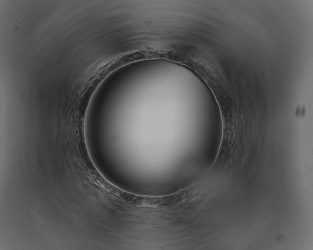 X0000091560773200708241815