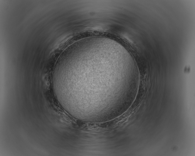 X0000091560774200708241815