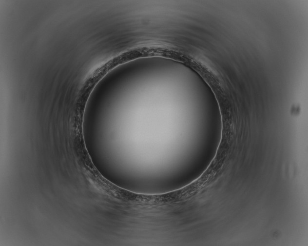 X0000091560775200708241815