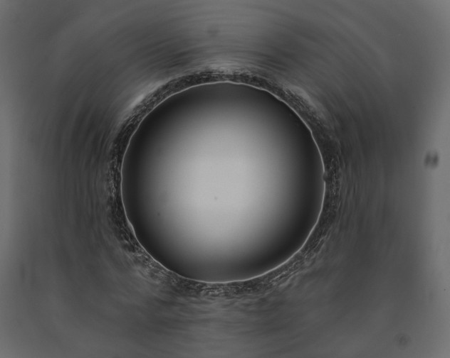 X0000091560776200708241815