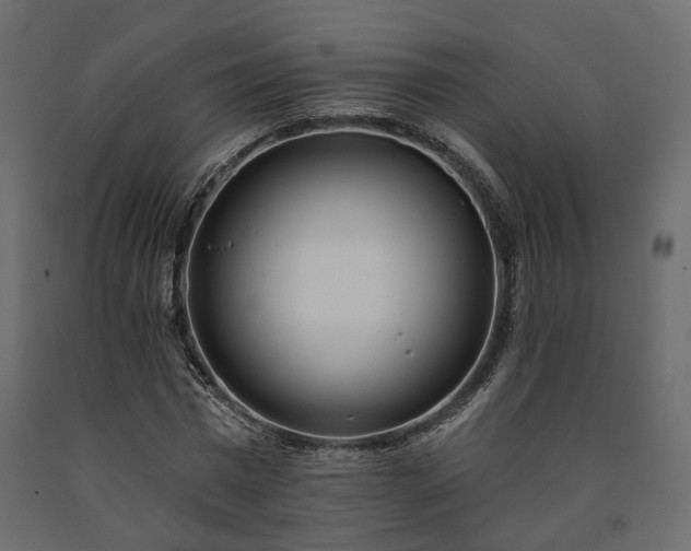 X0000091560777200708241815