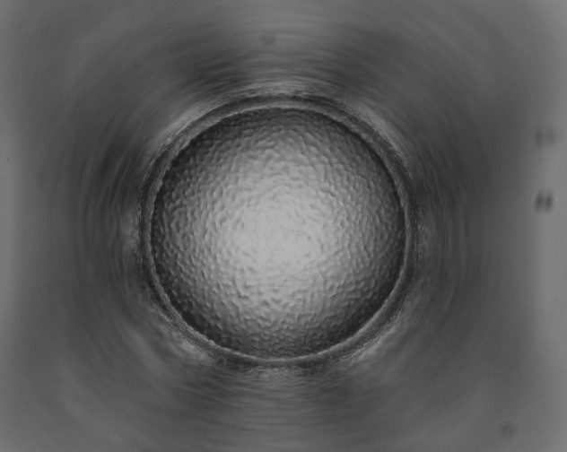 X0000091560778200708241815