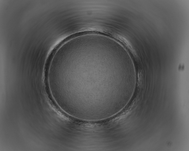 X0000091560780200708241815