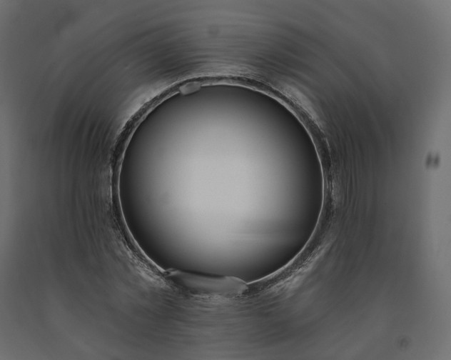 X0000091560781200708241815