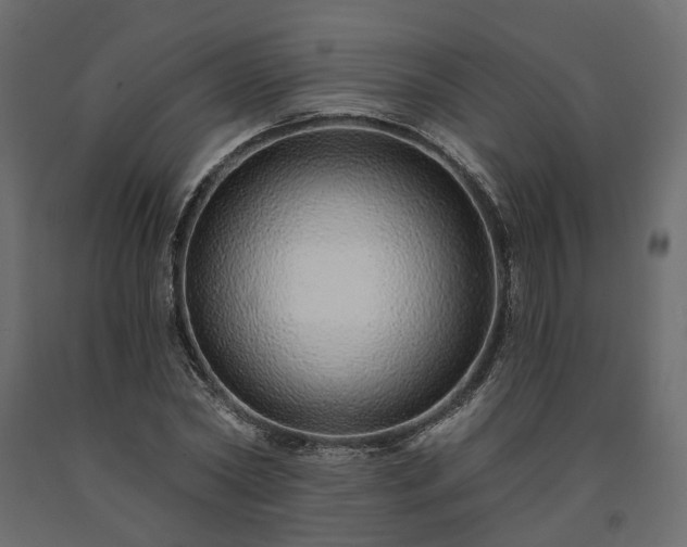 X0000091560782200708241815