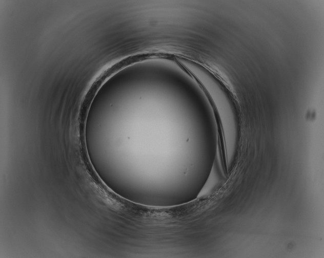 X0000091560784200708241815