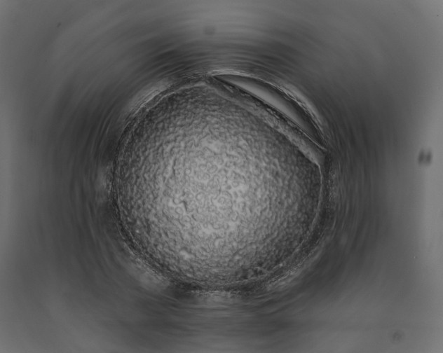 X0000091560785200708241815