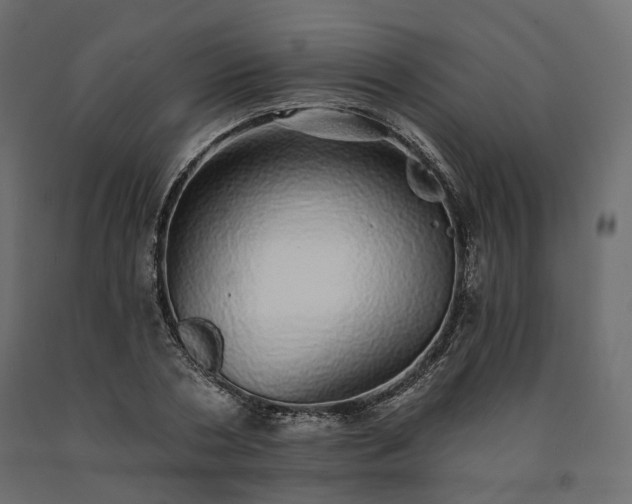 X0000091560786200708241815