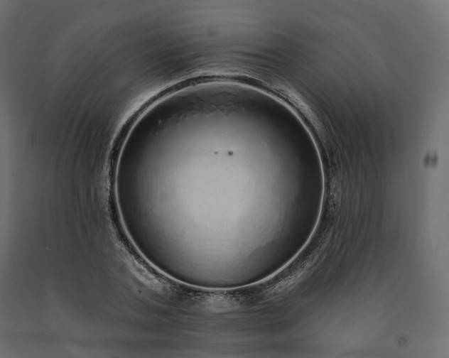 X0000091560787200708241815