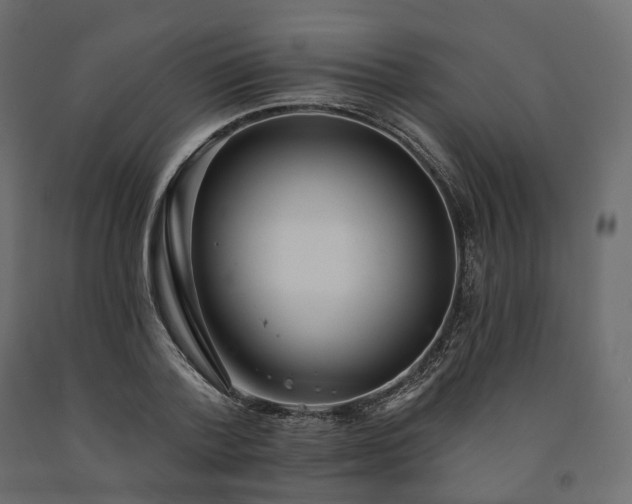 X0000091560788200708241815