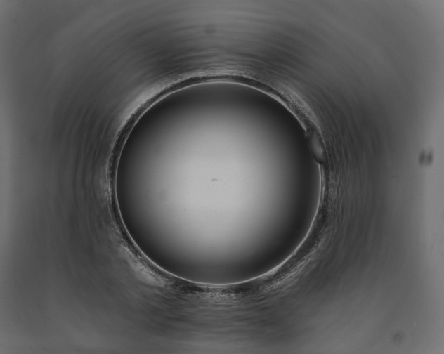 X0000091560789200708241815