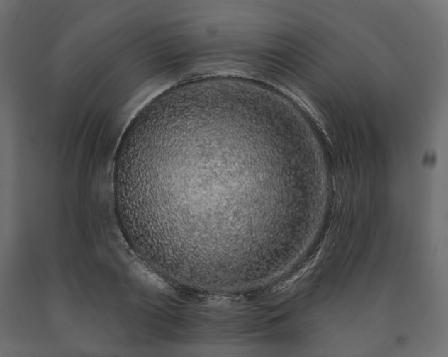 X0000091560790200708241815