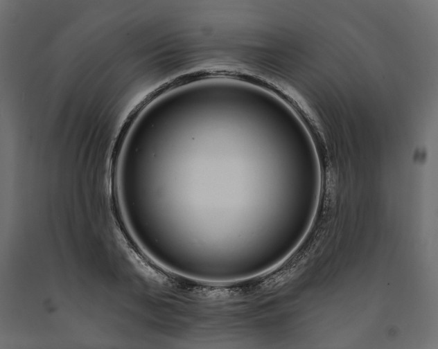 X0000091560791200708241815