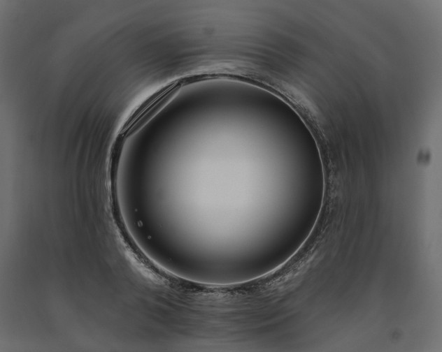 X0000091560792200708241815