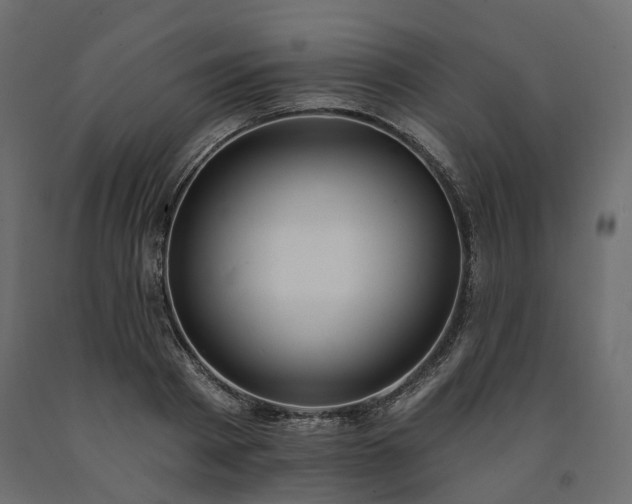 X0000091560793200708241815