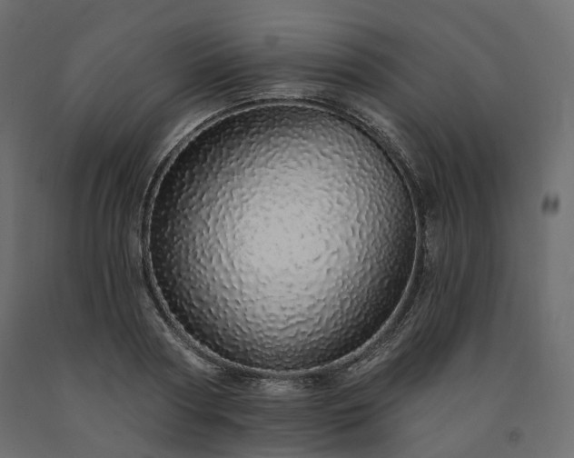 X0000091560794200708241815