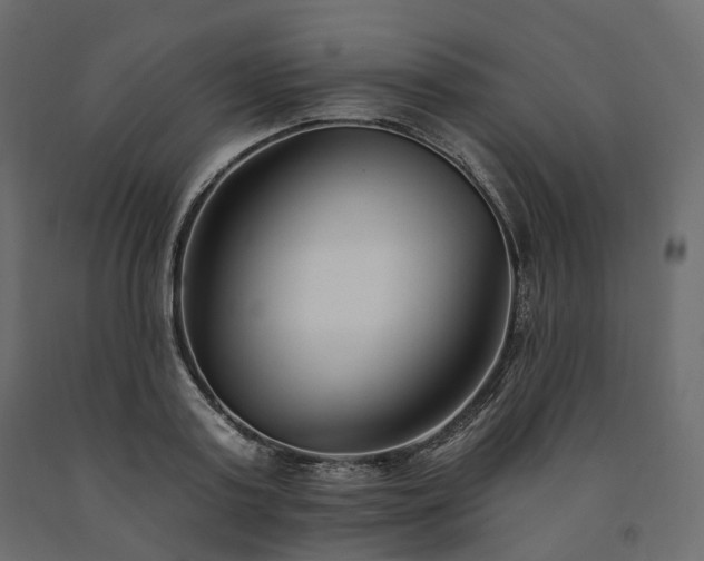 X0000091560795200708241815