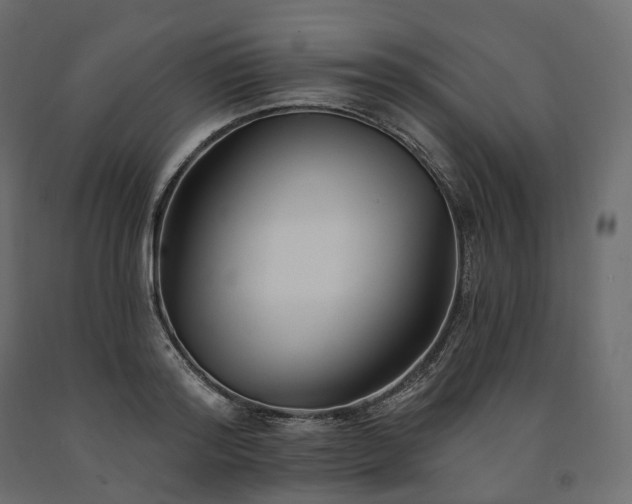 X0000091560796200708241815